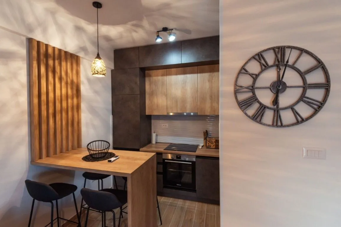 Rent, one bedroom apartment, 45m², Blok 9, Podgorica