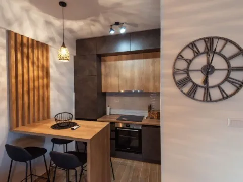 Izdavanje, jednosoban stan, 45m², Blok 9, Podgorica - image 9