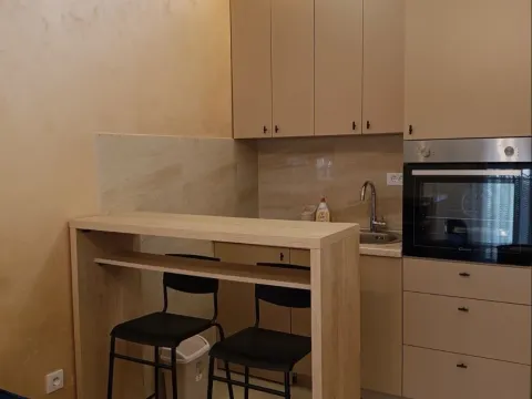 Rent, studio apartment, 30m², Zabjelo, Podgorica - image 2
