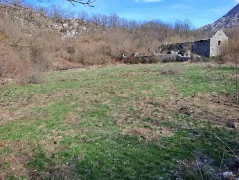Zemljište in Risan