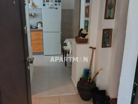 Izdavanje, jednosoban stan, 40m², Bulbulder, Zvezdara Sve Podlokacije - image 9