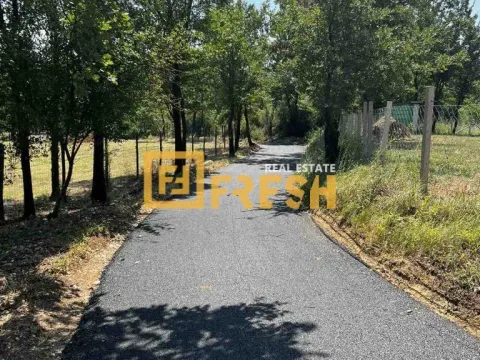 Prodaja, plac, 780m², Ostalo, Podgorica - image 8