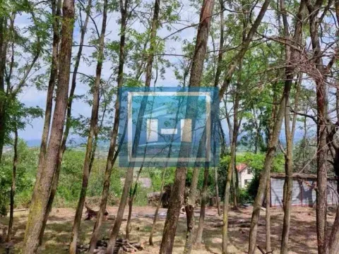 Sale, land lot, 923m², Đurđevo brdo, Jagodina - image 13