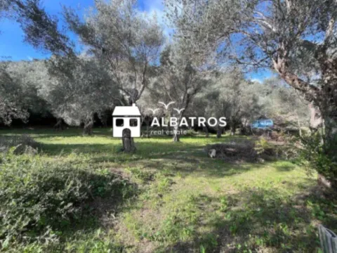 Prodaja, plac, 1814m², Bar, Crna Gora - image 4