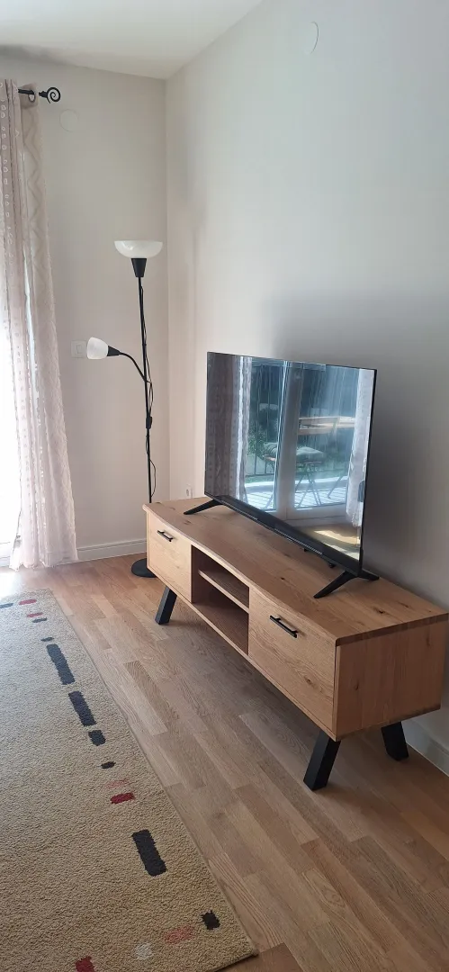 Living room with a wooden TV cabinet and a floor lamp.