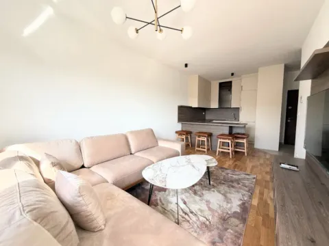 Prodaja, jednosoban stan, 42m², Zabjelo, Podgorica - image 5