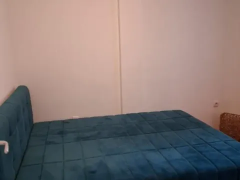 Izdavanje, jednosoban stan, 38m², Nova Detelinara, Novi Sad Sve Podlokacije - image 4