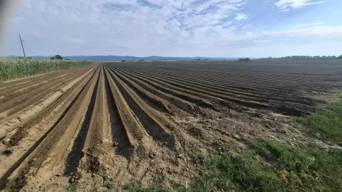 Prodaja, plac, 27500m², Futog, Novi Sad Sve Podlokacije - image 4