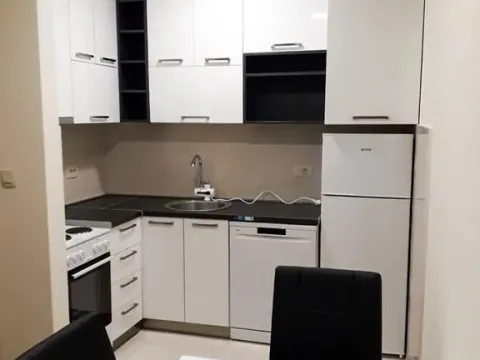 Izdavanje, jednosoban stan, 44m², Zagorič, Podgorica