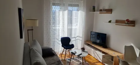 Svijetla dnevna soba sa sivom garniturom i TV policom. - image 3