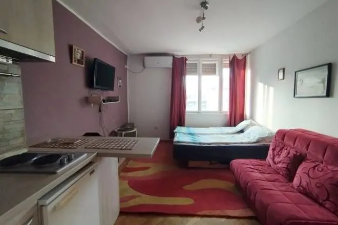 Izdavanje, garsonjera, 25m², Botanička Bašta, Palilula Sve Podlokacije