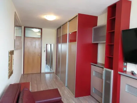 Izdavanje, četvorosoban stan, 115m², Hala Pionir, Palilula Sve Podlokacije - image 13