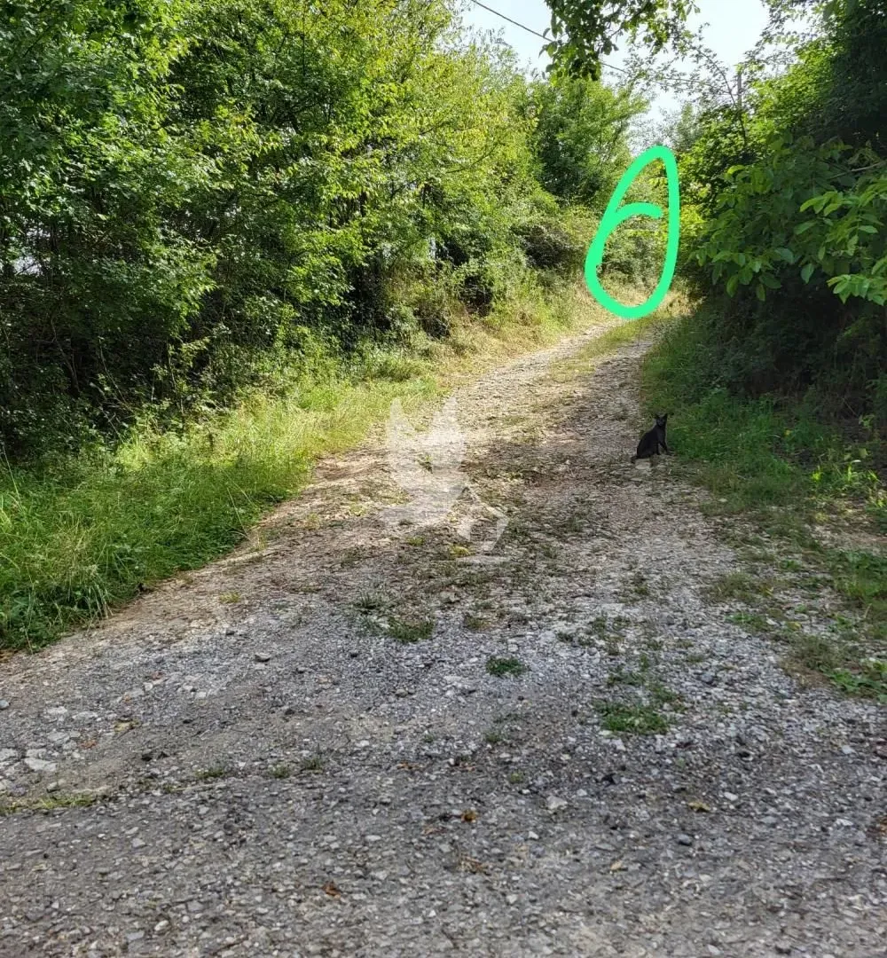 Prodaja, plac, 6900m², Mladenovac, Beograd