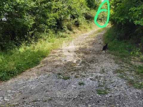 Prodaja, plac, 6900m², Mladenovac, Beograd - image 4