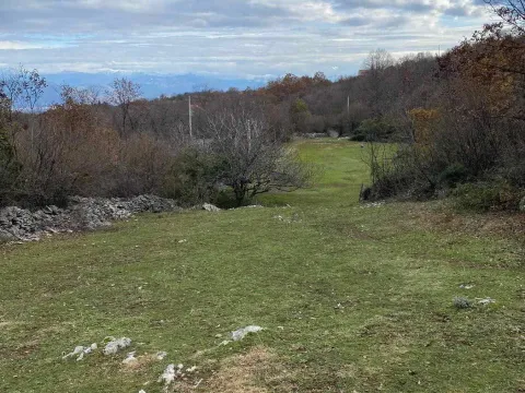 Prodaja, plac, 75000m², Zagreda, Danilovgrad - image 5