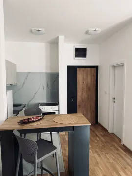 Rent, studio apartment, 30m², Zagorič, Podgorica - image 5