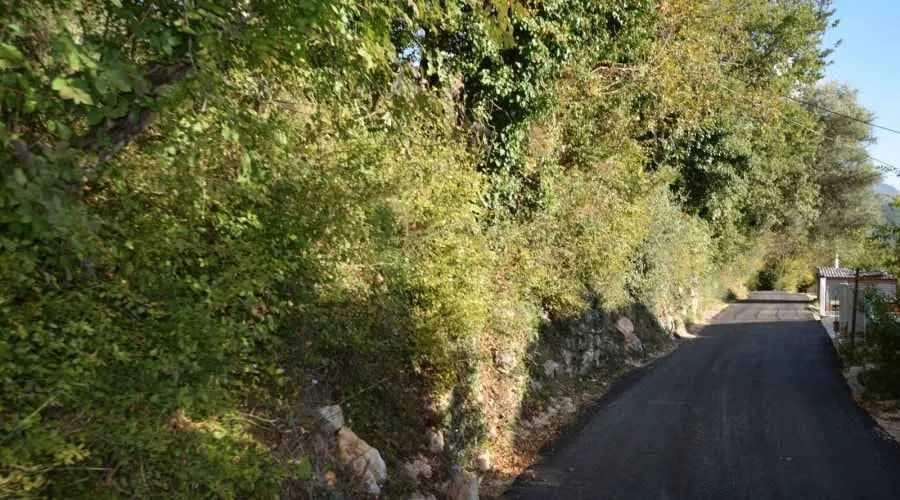 Asfaltni put koji vodi pored placa sa gustom vegetacijom.