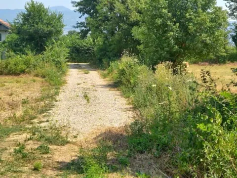 Prodaja, plac, 1550m², Ćurilac, Danilovgrad - image 7