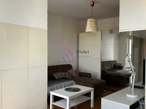 Rent, apartment, 28m², Zabjelo, Podgorica - image 5
