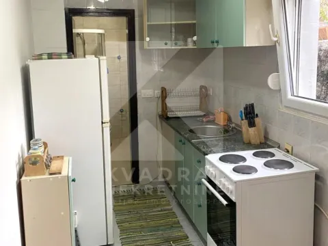 Izdavanje, jednosoban stan, 42m², Malo Brdo, Podgorica - image 4