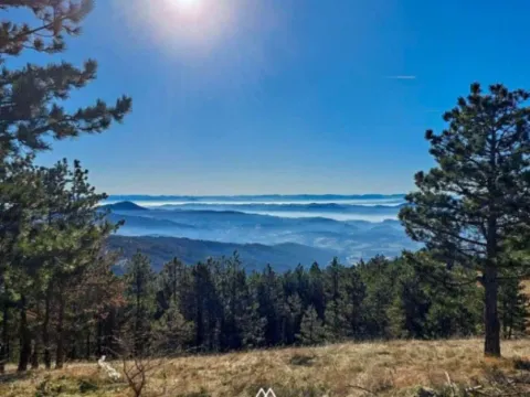 Prodaja, kuća, 224m², Divčibare, Valjevo - image 3