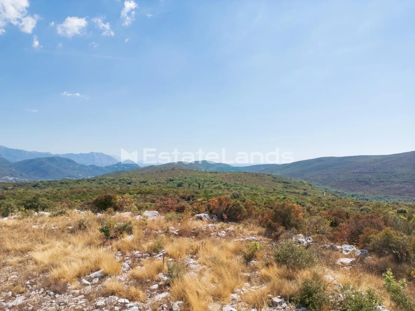 Pogled na brdoviti pejzaž sa rastinjem i vedrim nebom.