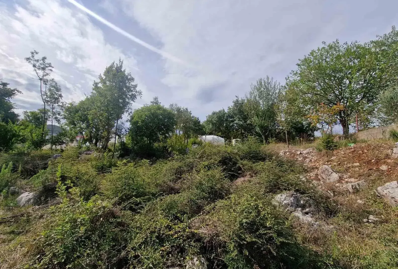 Prodaja, plac, 25000m², Lukovo, Nikšić