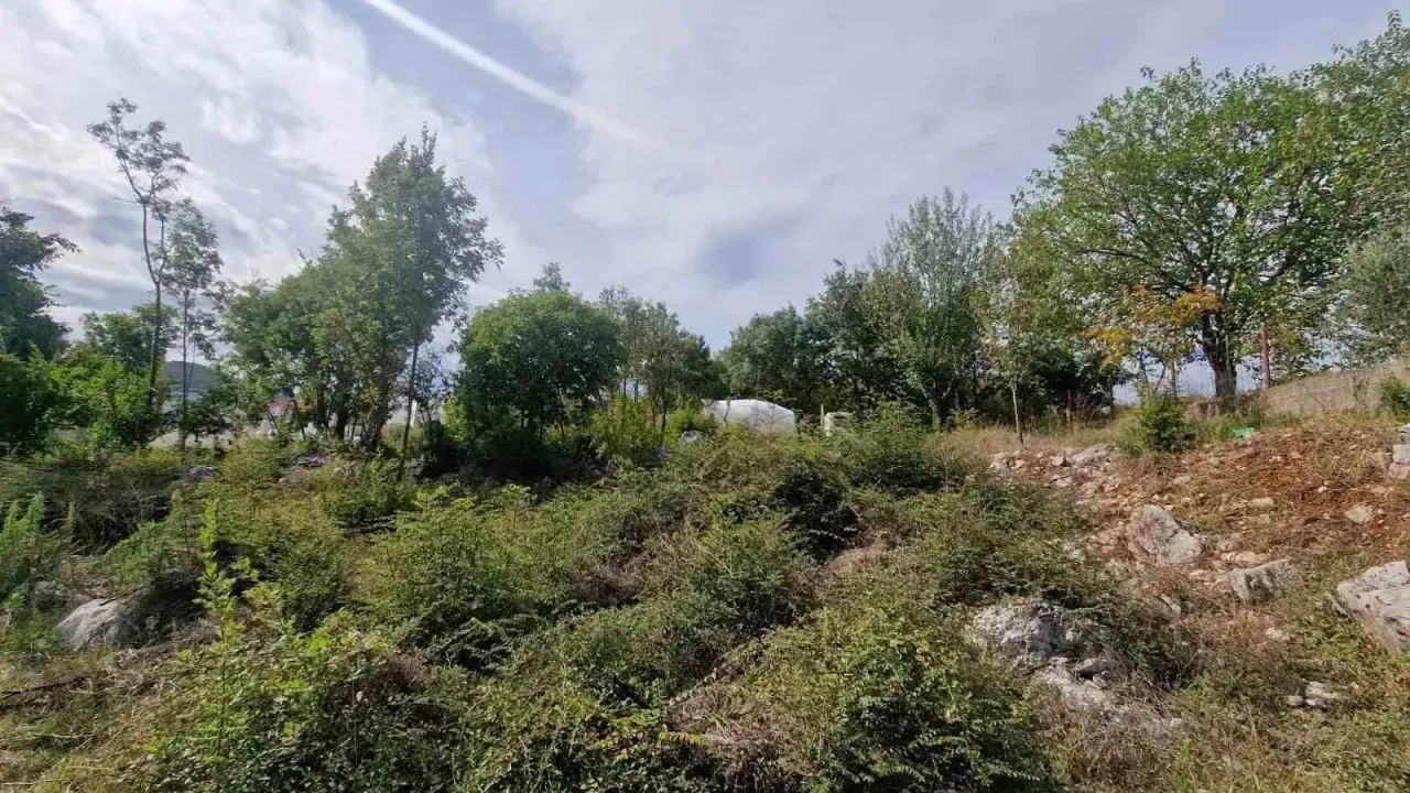 Prodaja, plac, 17000m², Lukovo, Nikšić