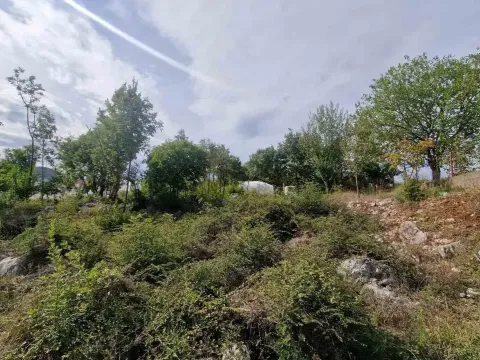 Prodaja, plac, 25000m², Lukovo, Nikšić - image 2