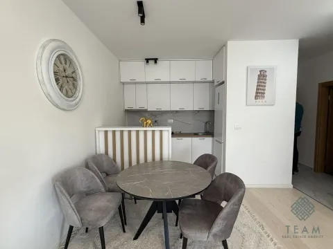 Rent, one bedroom apartment, 45m², Zabjelo, Podgorica - image 4