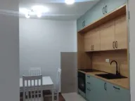 Izdavanje, jednosoban stan, 42m², Zabjelo, Podgorica - image 9