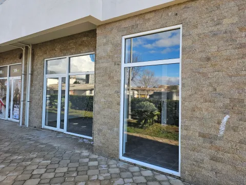 Poslovni prostor in Topolica