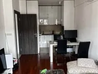 Izdavanje, jednosoban stan, 45m², Ljubović, Podgorica - image 5