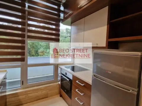 Izdavanje, dvosoban stan, 48m², Savski Venac, Beograd - image 4