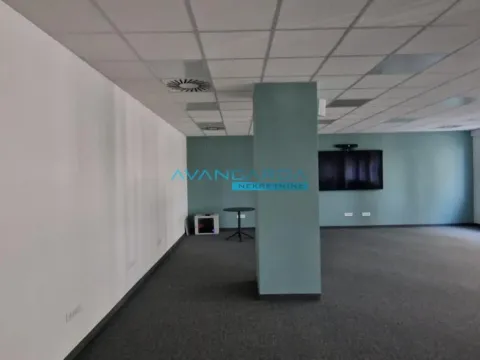 Izdavanje, poslovni prostor, 1310m², Novi Beograd Sve Podlokacije, Beograd - image 11