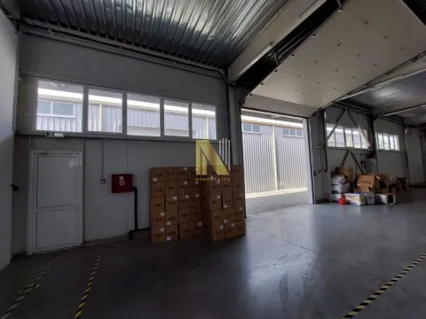 Izdavanje, poslovni prostor, 1200m², Bački Petrovac, Novi Sad - image 7