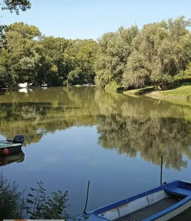 Prodaja, kuća, 354m², Uzdin, Kovačica