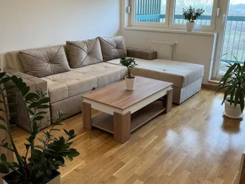 Rent, one bedroom apartment, 37m², Jugovićevo, Novi Sad Sve Podlokacije - image 2