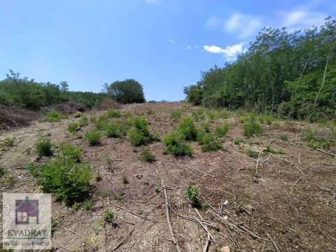 Prodaja, plac, 2300m², Obrenovac, Beograd - image 3