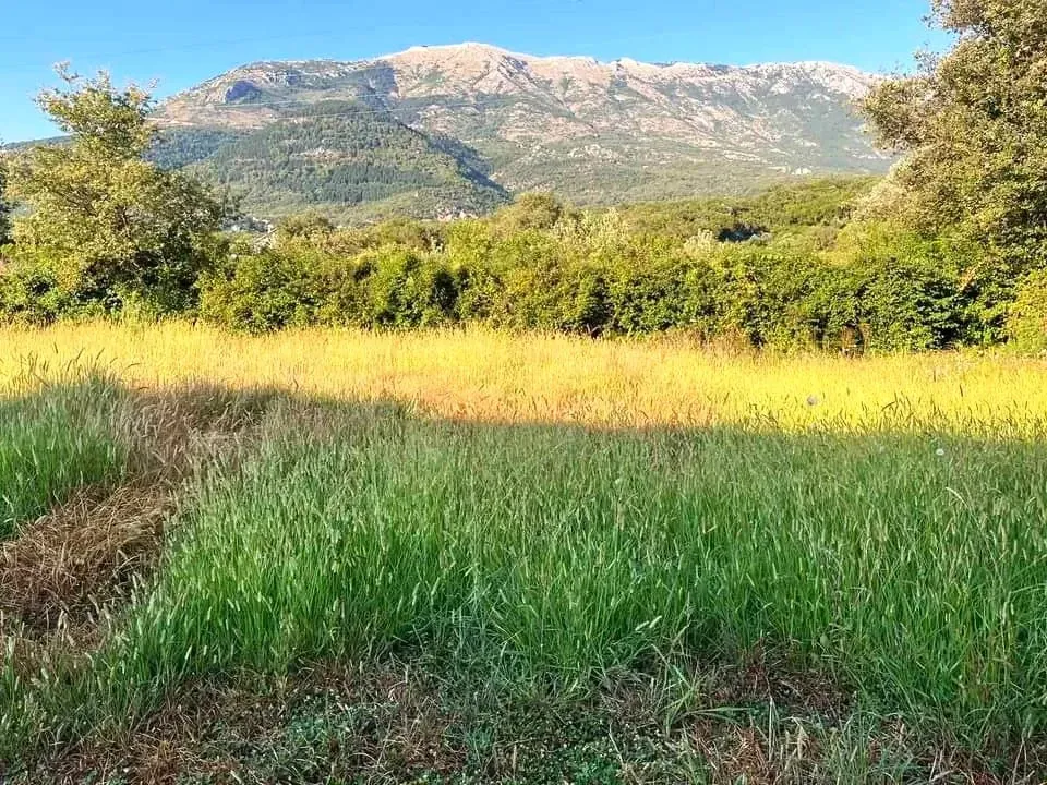 Prodaja, plac, 1129m², Kotor, Crna Gora