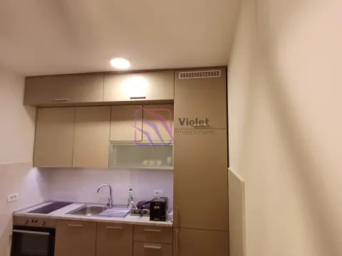 Rent, one bedroom apartment, 49m², Central Point, Podgorica - image 10