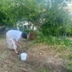 Prodaja, plac, 380m², Bijela, Herceg Novi - image 14