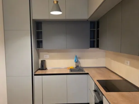 Rent, apartment, 47m², Zabjelo, Podgorica - image 4