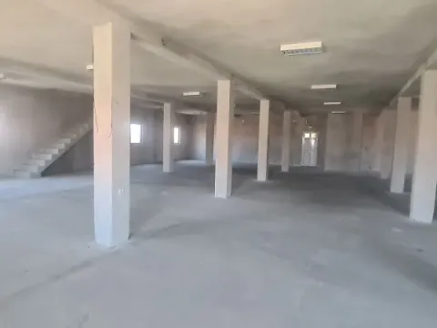 Izdavanje, poslovni prostor, 1100m², Novi Beograd Sve Podlokacije, Beograd - image 3