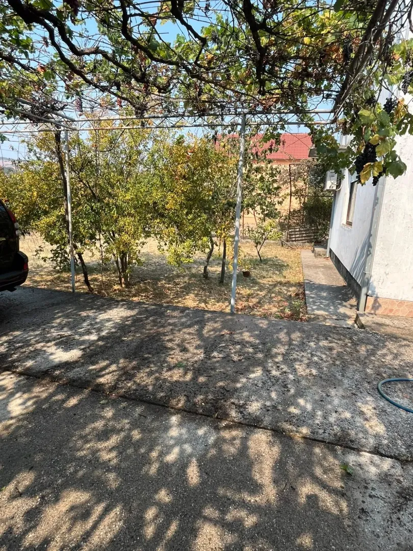 Dvorište kuće sa natkrivenim dijelom obraslim vinovom lozom.