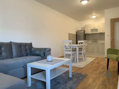 Rent, one bedroom apartment, 48m², Stari Aerodrom, Podgorica - image 4
