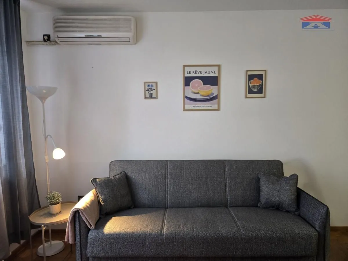 Izdavanje, garsonjera, 30m², Cara Dušana, Novi Sad Sve Podlokacije