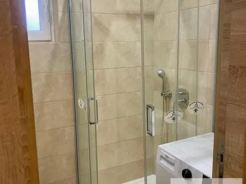 Izdavanje, jednosoban stan, 45m², Zvezdara Sve Podlokacije, Beograd - image 9