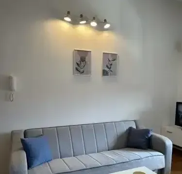 Izdavanje, jednosoban stan, 40m², Stari Aerodrom, Podgorica - image 11