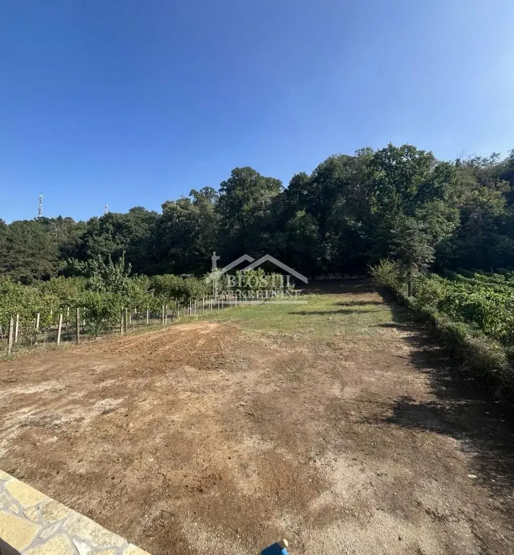 Prodaja, plac, 977m², Centar, Smederevo